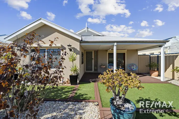 53 Whimbrel Vista