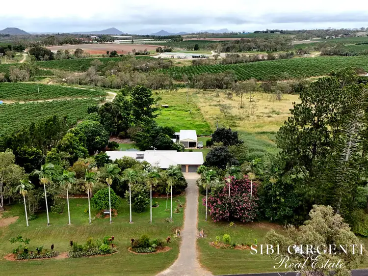 599 Springs Road, Paddys Green QLD 4880