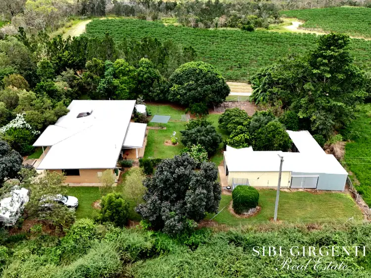 599 Springs Road, Paddys Green QLD 4880