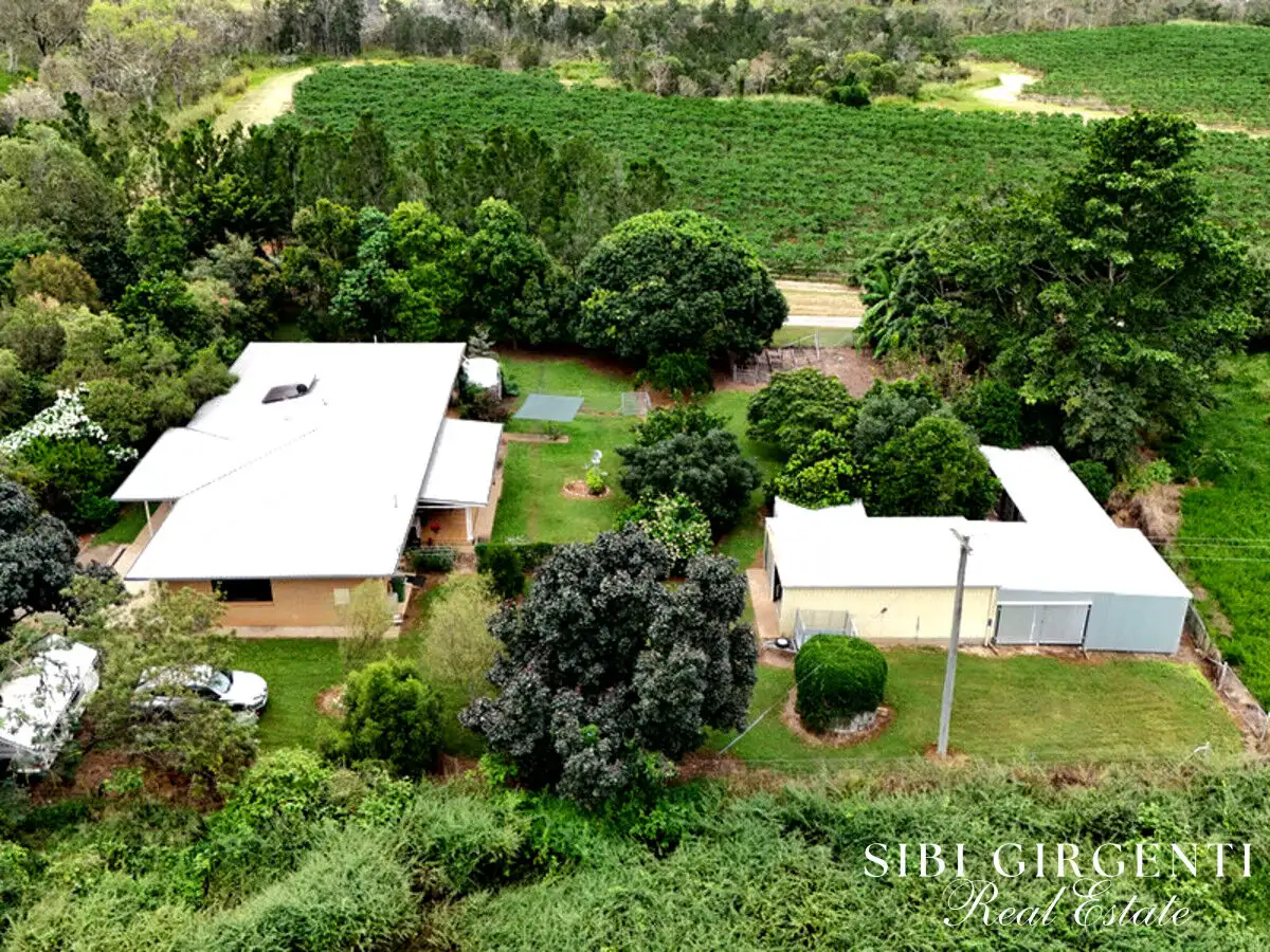 Main view of Homely house listing, 599 Springs Road, Paddys Green QLD 4880