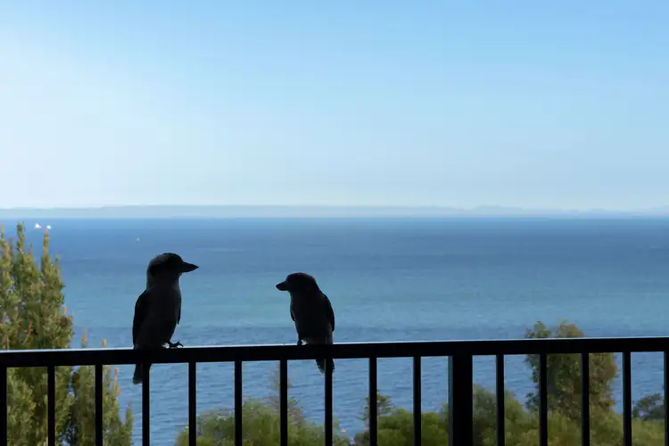 Fifth view of Homely house listing, 7 Triton Street, Tangalooma QLD 4025