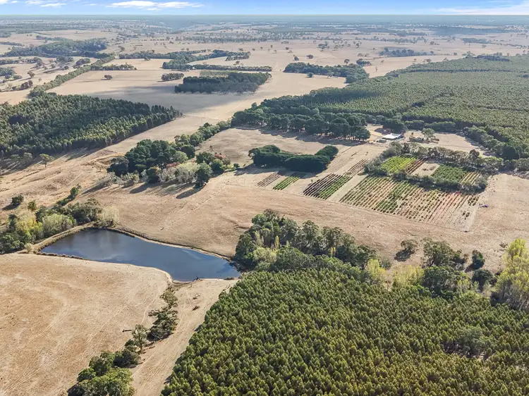 Second view of Homely rural property listing, 1284 Nareen Road, Nareen VIC 3315