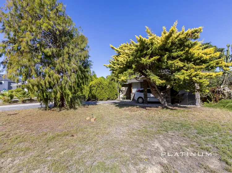 Main view of Homely house listing, 205 Camberwarra Drive, Craigie WA 6025
