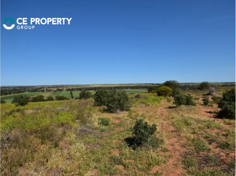 Main view of Homely rural property listing, 341 and 346, LOT 341 and 346 Rundle Road, Ponde SA 5238