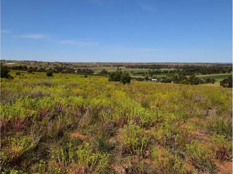 Second view of Homely rural property listing, 341 and 346, LOT 341 and 346 Rundle Road, Ponde SA 5238