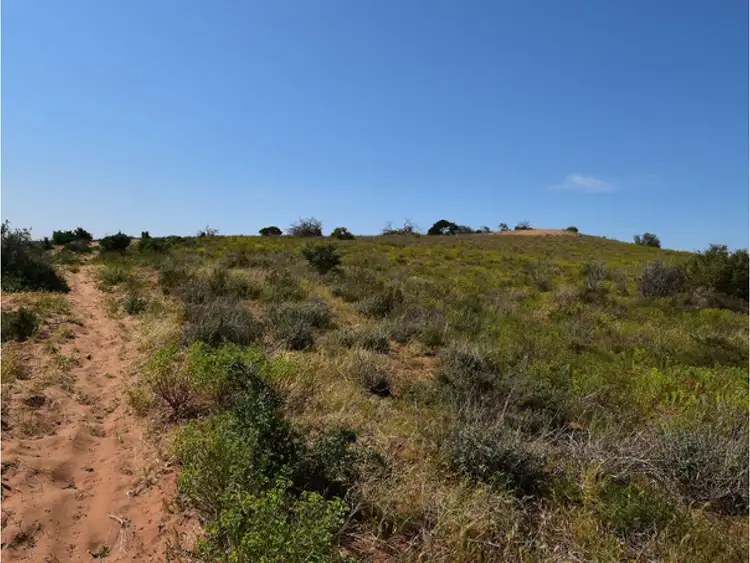 Third view of Homely rural property listing, 341 and 346, LOT 341 and 346 Rundle Road, Ponde SA 5238