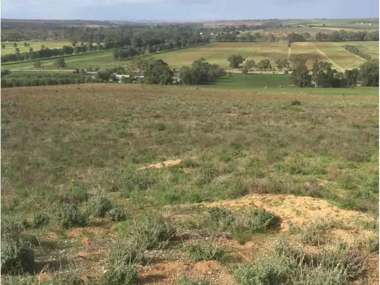 Fifth view of Homely rural property listing, 341 and 346, LOT 341 and 346 Rundle Road, Ponde SA 5238