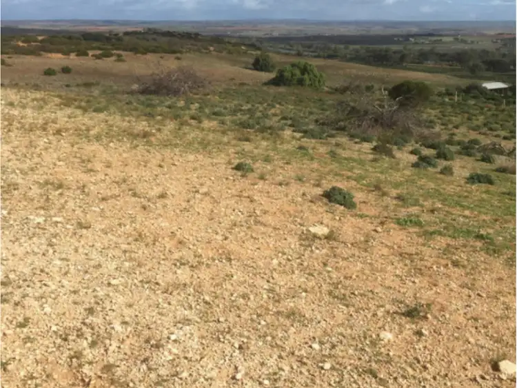 Sixth view of Homely rural property listing, 341 and 346, LOT 341 and 346 Rundle Road, Ponde SA 5238