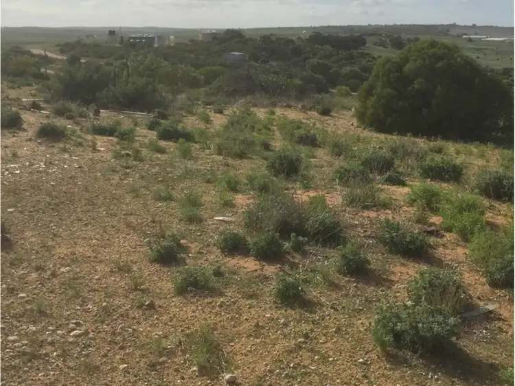 Seventh view of Homely rural property listing, 341 and 346, LOT 341 and 346 Rundle Road, Ponde SA 5238