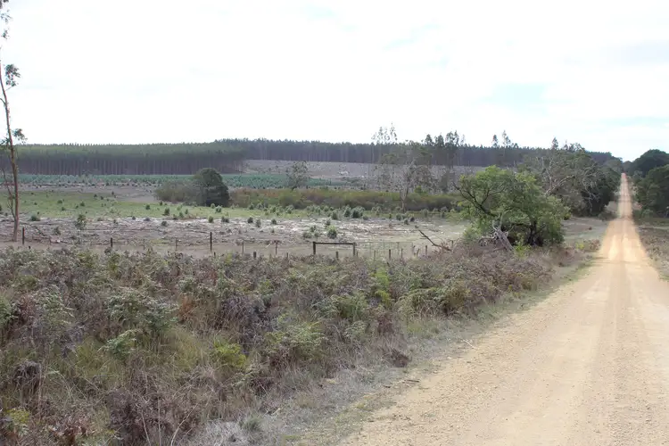 Third view of Homely rural property listing, 000 Digby-Glenorchy Road, Digby VIC 3309