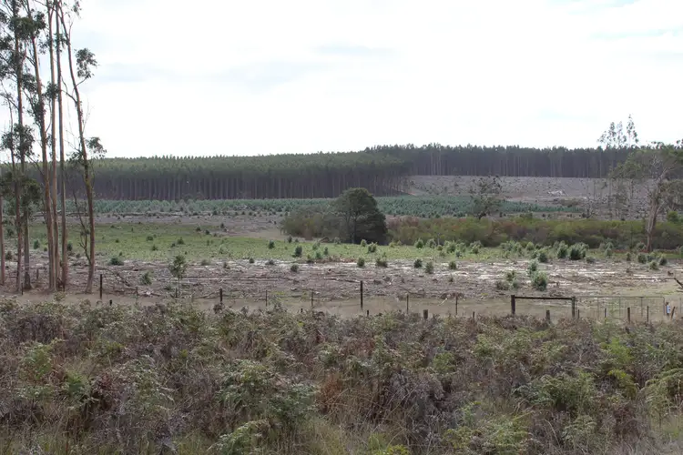 Fourth view of Homely rural property listing, 000 Digby-Glenorchy Road, Digby VIC 3309
