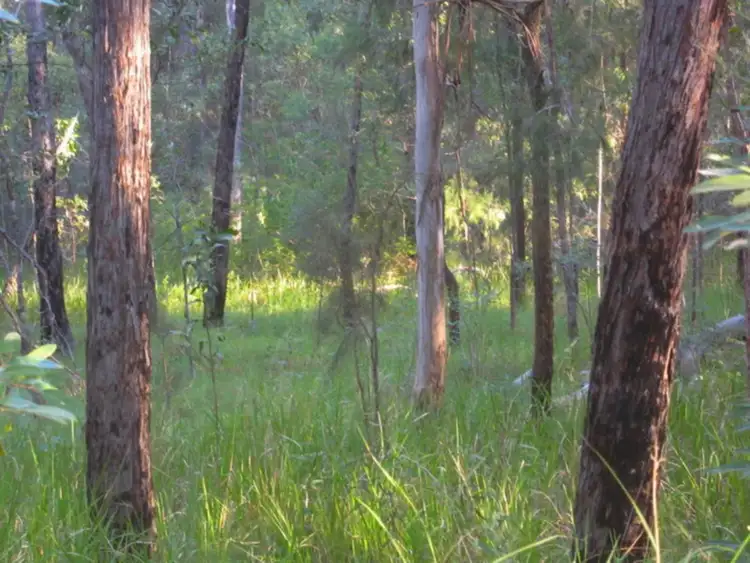 Third view of Homely rural property listing, LOT 81, 452 Bruxner Road, Drake NSW 2469