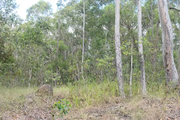 Fifth view of Homely rural property listing, LOT 81, 452 Bruxner Road, Drake NSW 2469