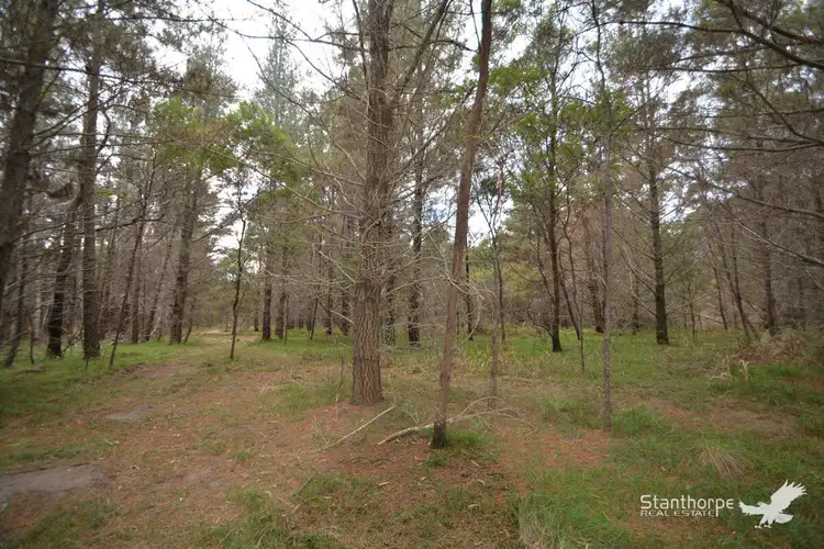 Seventh view of Homely land listing, LOT 222 Sunrise Road, Sugarloaf QLD 4380