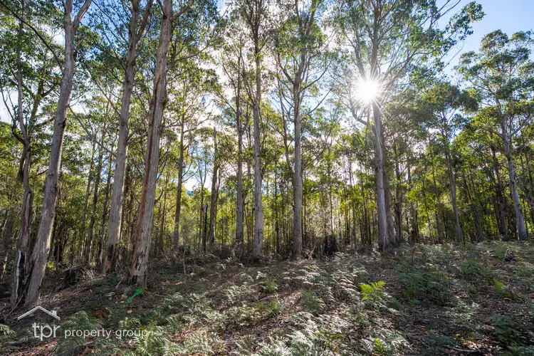 Third view of Homely land listing, LOT 3 Middle Road, Pelverata TAS 7150