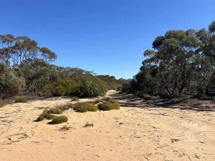 Main view of Homely rural property listing, Lot 31 Black Hill Road, Cambrai SA 5353