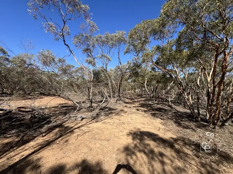 Fourth view of Homely rural property listing, Lot 31 Black Hill Road, Cambrai SA 5353