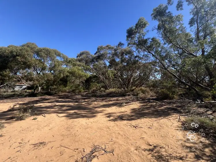 Seventh view of Homely rural property listing, Lot 31 Black Hill Road, Cambrai SA 5353