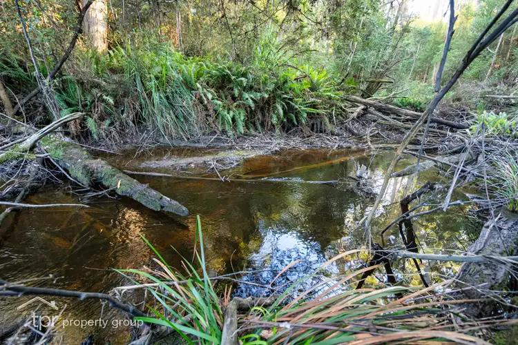 Second view of Homely land listing, LOT 1 Huon Highway, Strathblane TAS 7109