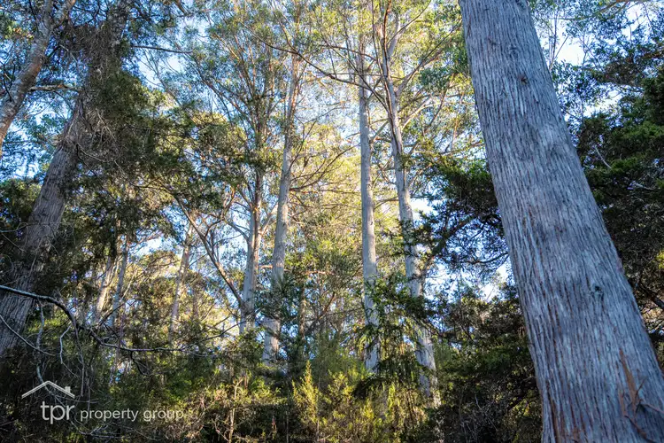 Fourth view of Homely land listing, LOT 1 Huon Highway, Strathblane TAS 7109