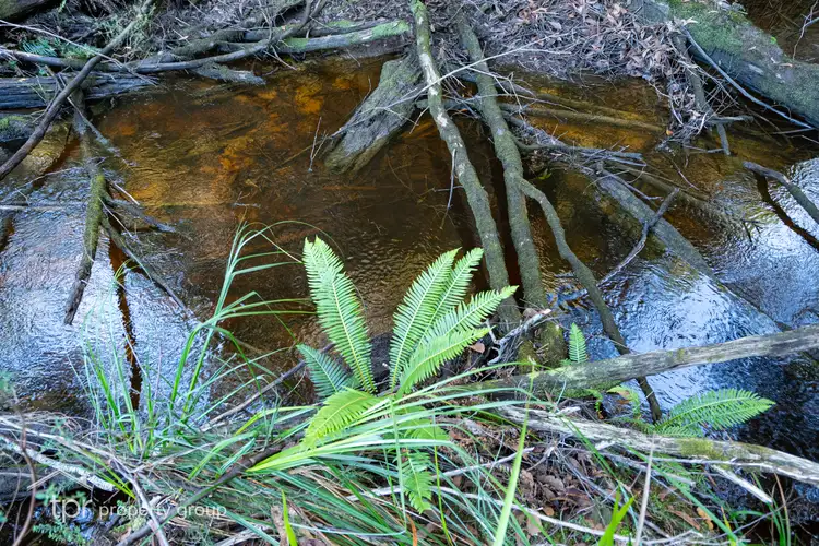 Seventh view of Homely land listing, LOT 1 Huon Highway, Strathblane TAS 7109