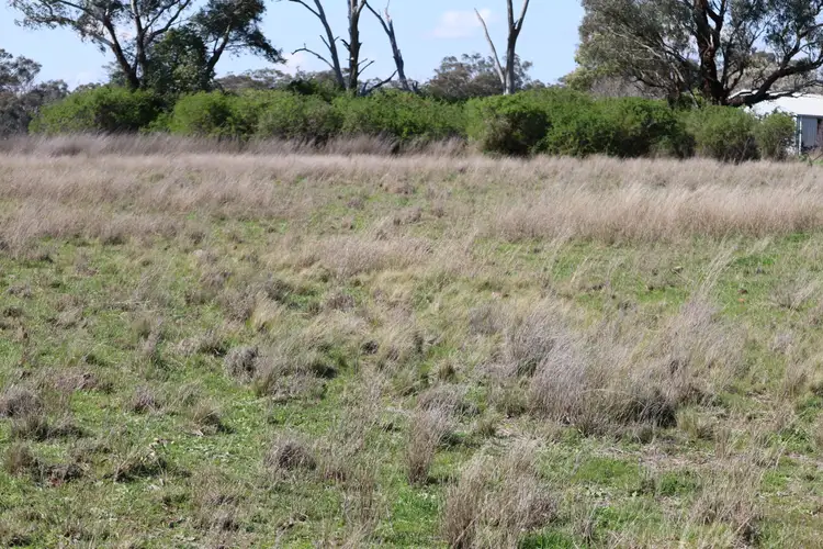 Second view of Homely land listing, 48 Dunedoo Street, Dunedoo NSW 2844