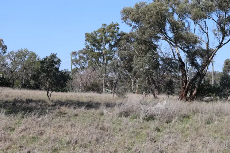 Fourth view of Homely land listing, 48 Dunedoo Street, Dunedoo NSW 2844