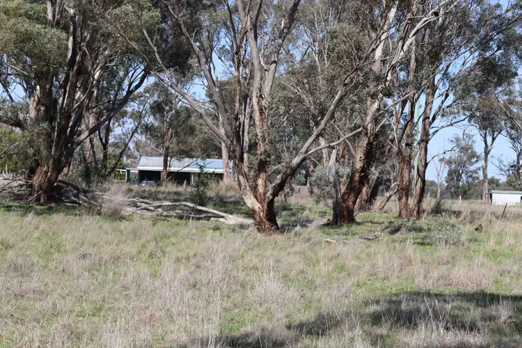 Fifth view of Homely land listing, 48 Dunedoo Street, Dunedoo NSW 2844