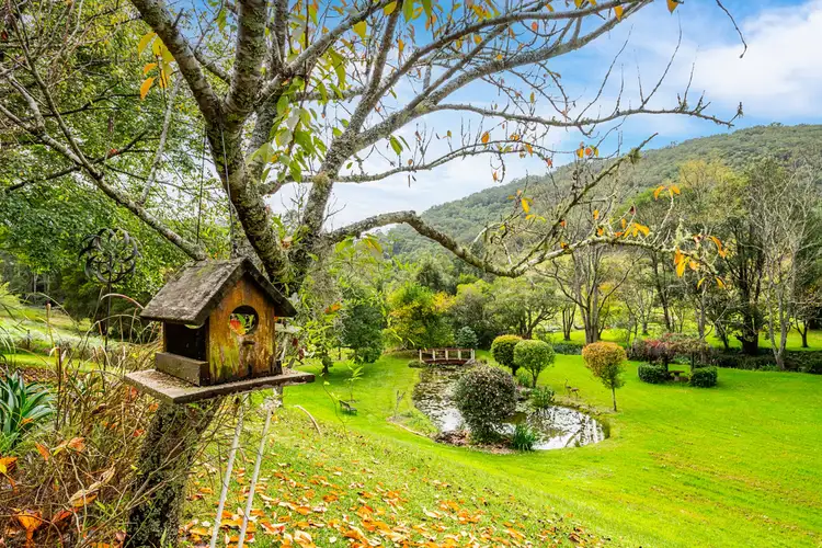 Third view of Homely rural property listing, 111 Bunning Creek Road, Yarramalong NSW 2259