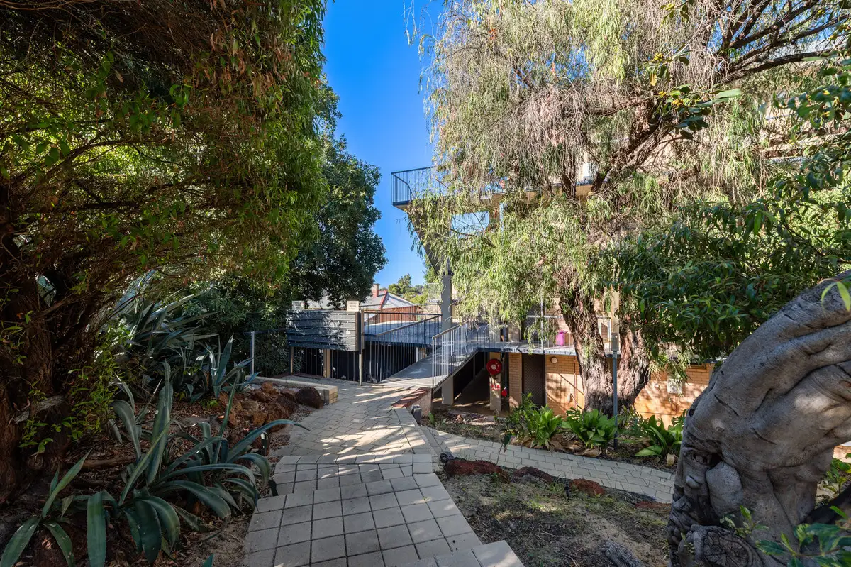 Main view of Homely apartment listing, 26/3 Russell Avenue, North Perth WA 6006