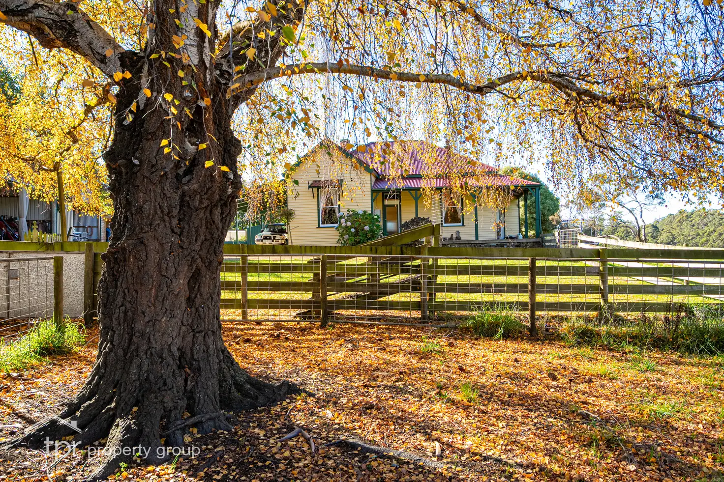 Main view of Homely house listing, 41 Narrows Road, Strathblane TAS 7109