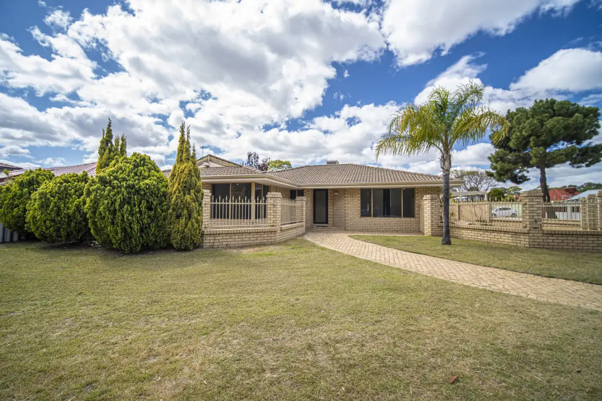 Main view of Homely house listing, 1 Forest Walk, Kardinya WA 6163