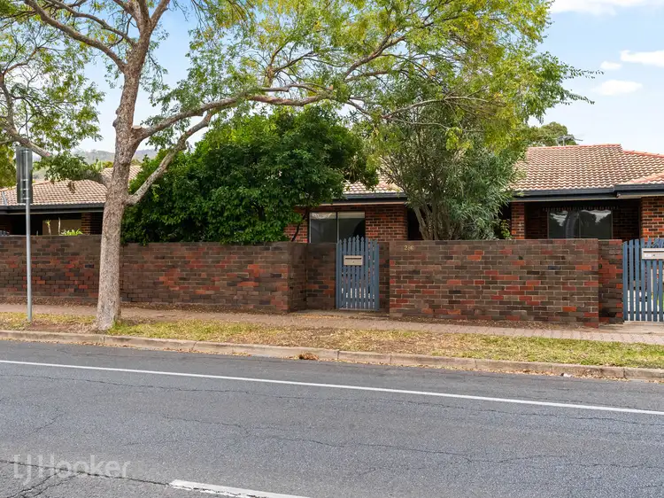 3/286 Montacute Road