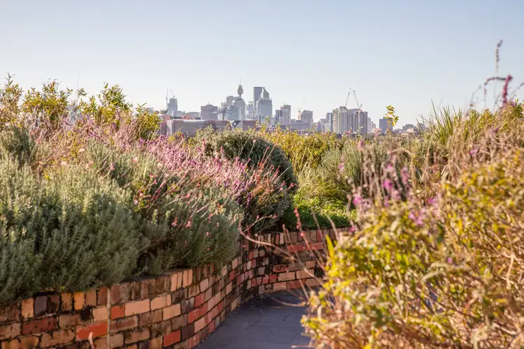 Second view of Homely apartment listing, 236/18 Huntley Street, Alexandria NSW 2015