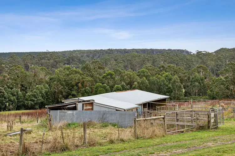 Seventh view of Homely rural property listing, 44 Wallaces Road, Barwon Downs VIC 3243