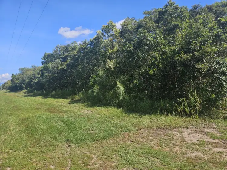 Third view of Homely land listing, LOT 25 Cassady's Beach Road, Forrest Beach QLD 4850