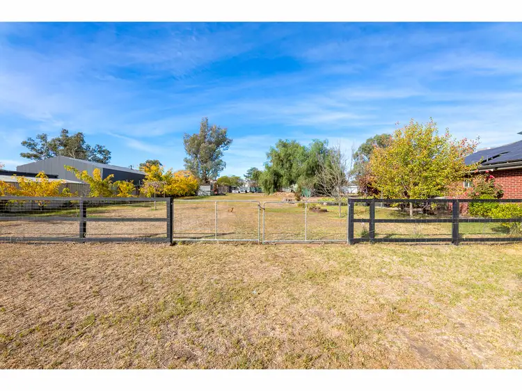 Fourth view of Homely house listing, 19 Smith Street, Henty NSW 2658