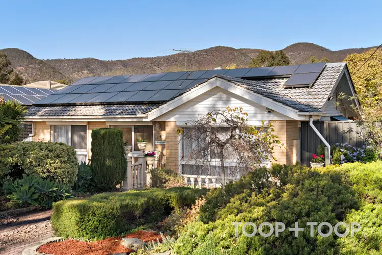 246 Lower Athelstone Road, Athelstone SA 5076