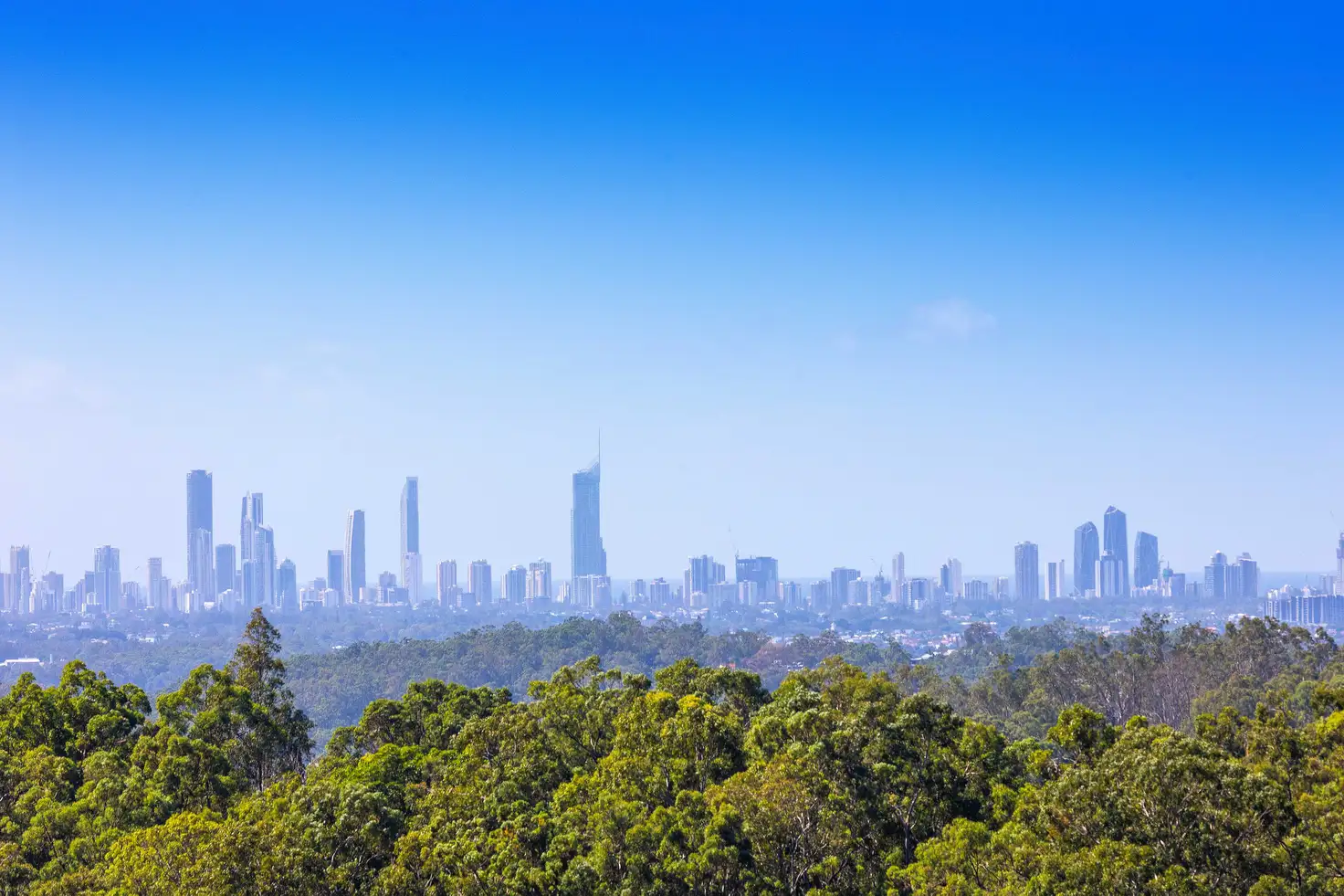 Main view of Homely land listing, LOT 221, 127 Monaro Road, Mudgeeraba QLD 4213