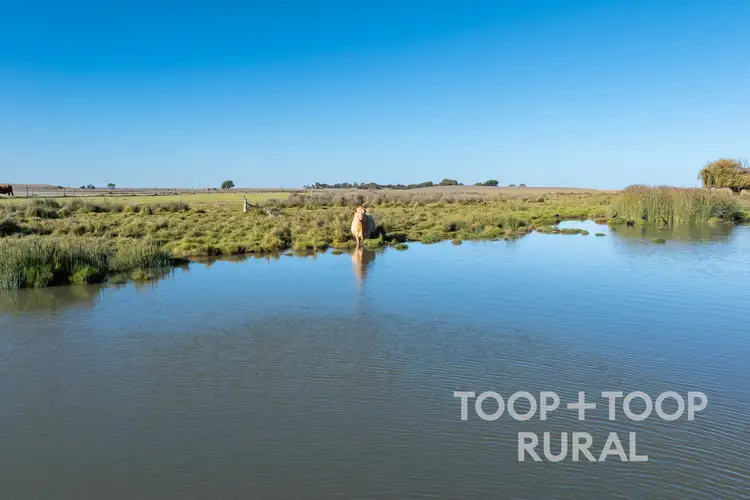 Fourth view of Homely rural property listing, LOT 135, 135 Randell Road, Hindmarsh Island SA 5214