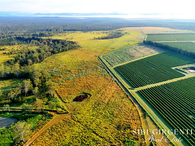 Third view of Homely rural property listing, 326 Springs Road, Paddys Green QLD 4880