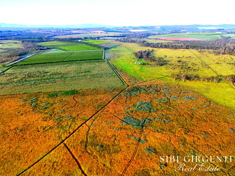 Fourth view of Homely rural property listing, 326 Springs Road, Paddys Green QLD 4880