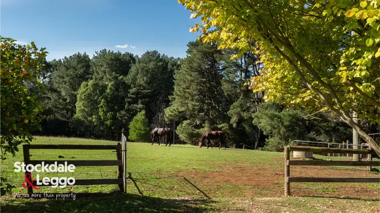 Second view of Homely rural property listing, 1568 Grand Ridge Road, Mirboo VIC 3871