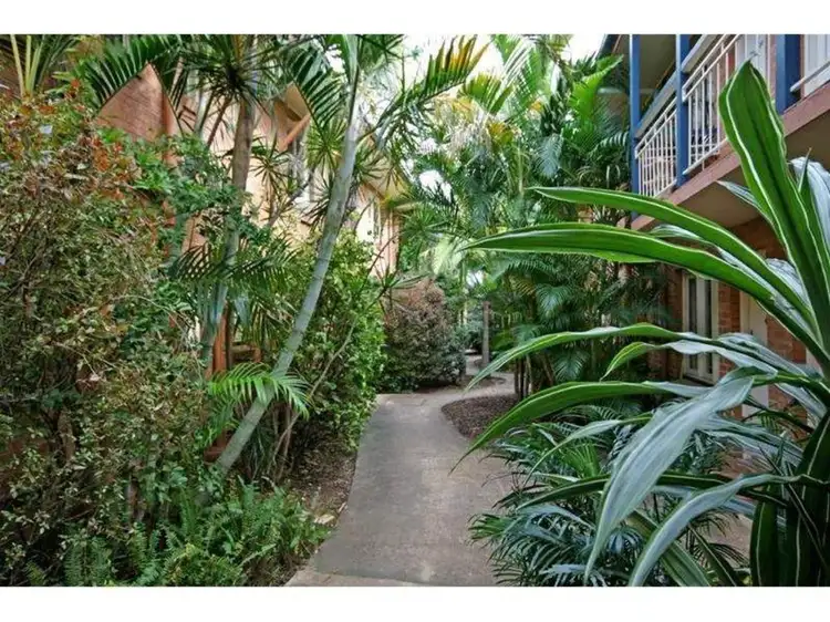 3/22 Little Jane Street, West End QLD 4101