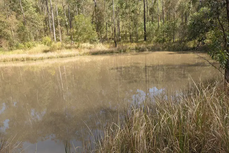 Lot 5 Long Gully Road, Drake NSW 2469