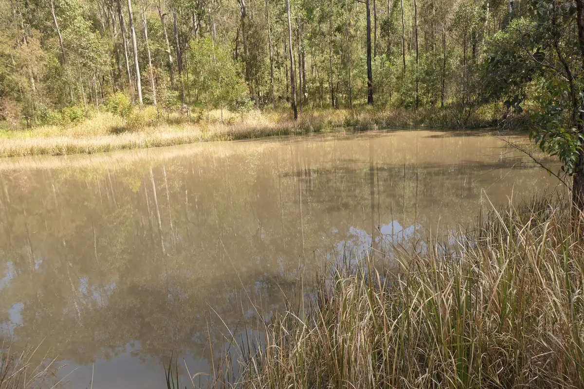 Main view of Homely rural property listing, Lot 5 Long Gully Road, Drake NSW 2469