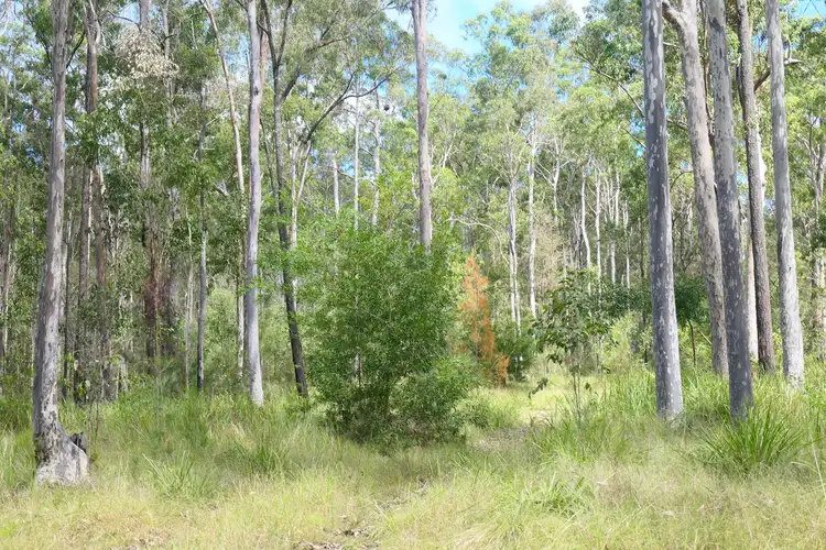 Second view of Homely rural property listing, Lot 5 Long Gully Road, Drake NSW 2469
