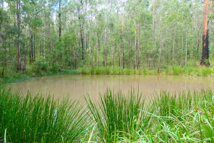 Fourth view of Homely rural property listing, Lot 5 Long Gully Road, Drake NSW 2469