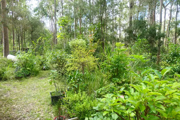 Fifth view of Homely rural property listing, Lot 5 Long Gully Road, Drake NSW 2469