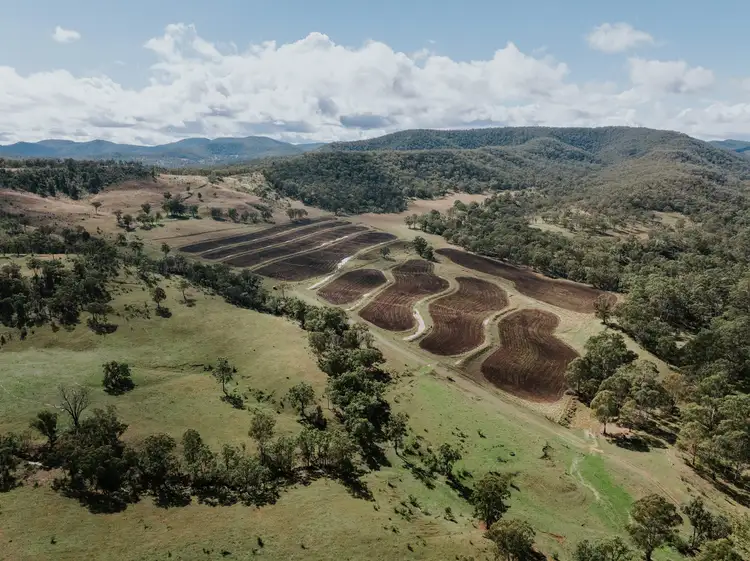 Main view of Homely rural property listing, 1006 North Branch Road, Goomburra QLD 4362